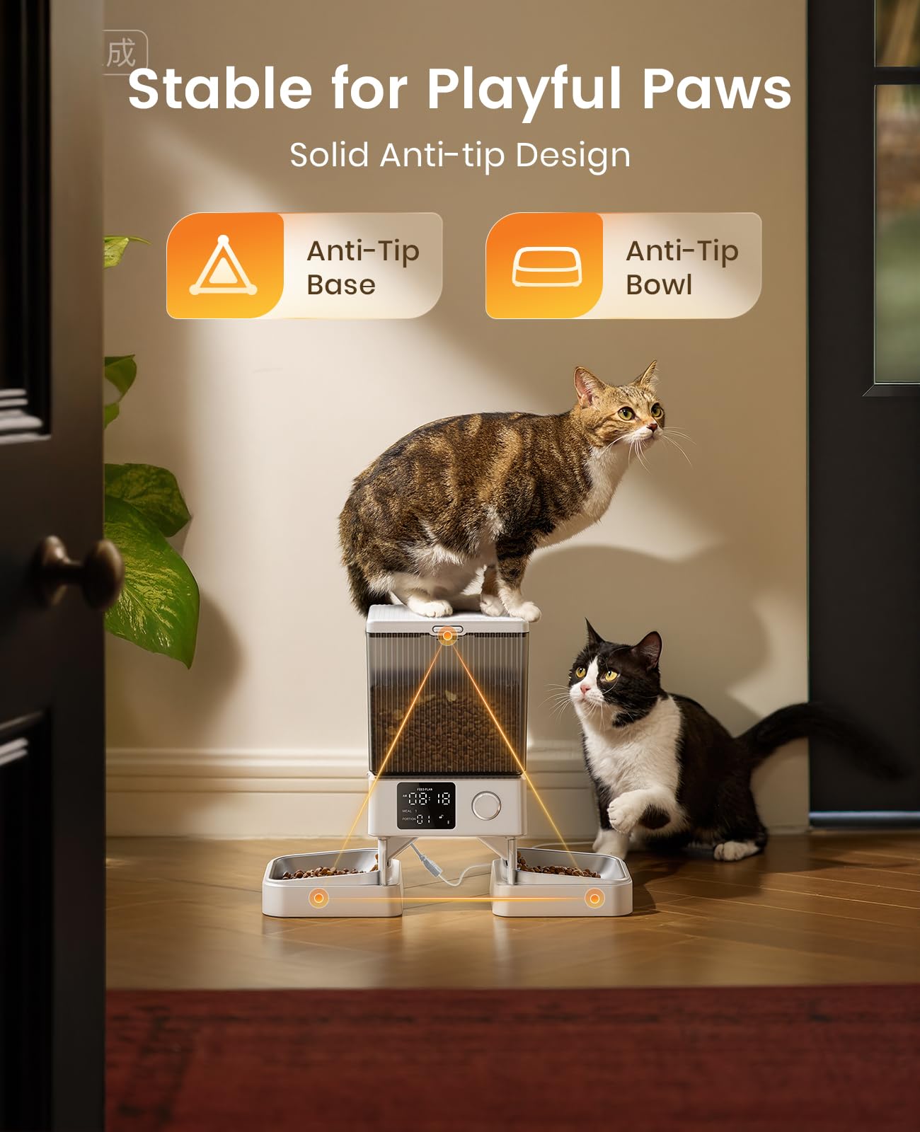 oneisall Automatic Cat Feeder for 2 Cats, 20 Cups/5L Automatic Cat Food Dispenser for Small Pets Indoor, Timed Cat Feeder for Dry Food