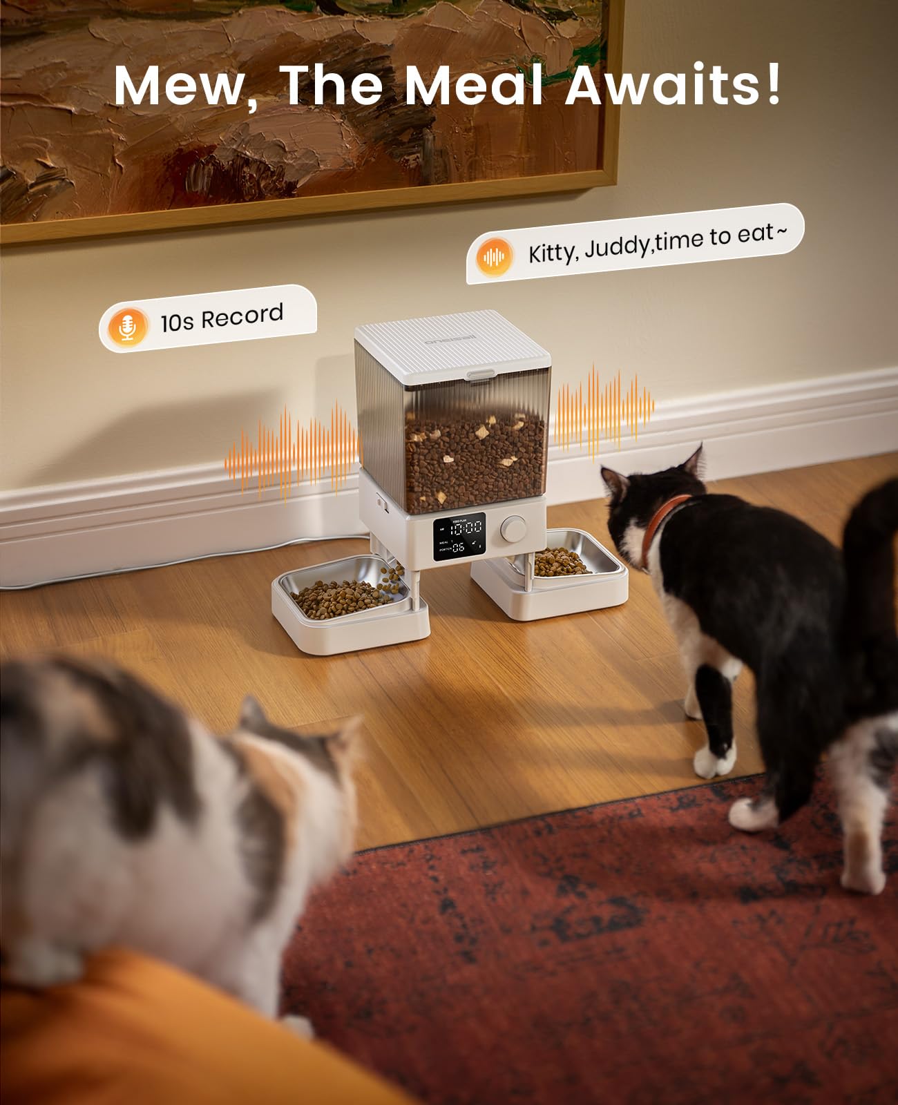 oneisall Automatic Cat Feeder for 2 Cats, 20 Cups/5L Automatic Cat Food Dispenser for Small Pets Indoor, Timed Cat Feeder for Dry Food