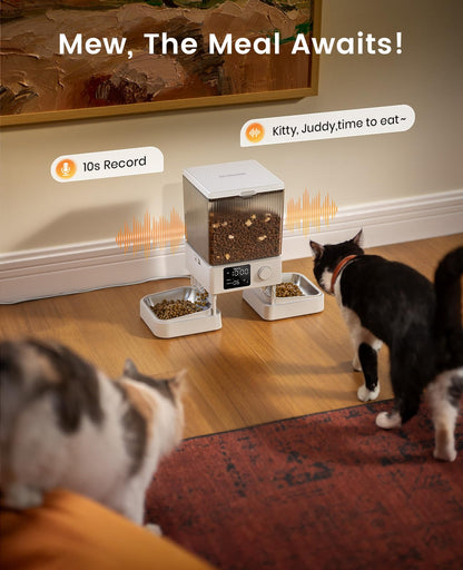 oneisall Automatic Cat Feeder for 2 Cats, 20 Cups/5L Automatic Cat Food Dispenser for Small Pets Indoor, Timed Cat Feeder for Dry Food