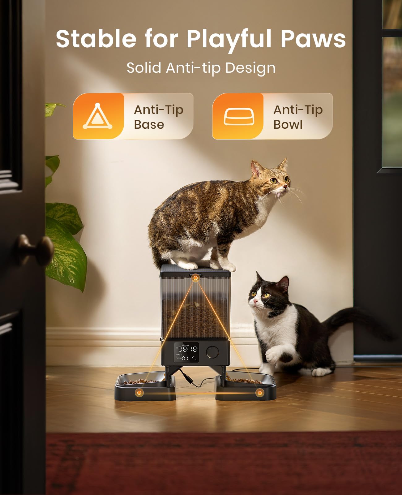 oneisall Automatic Cat Feeder for 2 Cats, 20 Cups/5L Automatic Cat Food Dispenser for Small Pets Indoor, Timed Cat Feeder for Dry Food